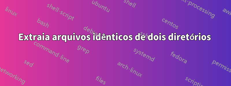 Extraia arquivos idênticos de dois diretórios