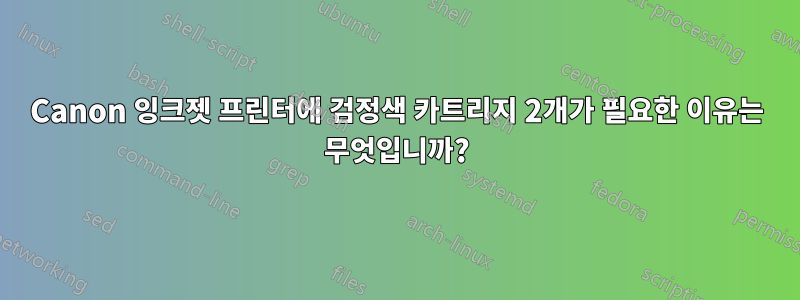 Canon 잉크젯 프린터에 검정색 카트리지 2개가 필요한 이유는 무엇입니까?