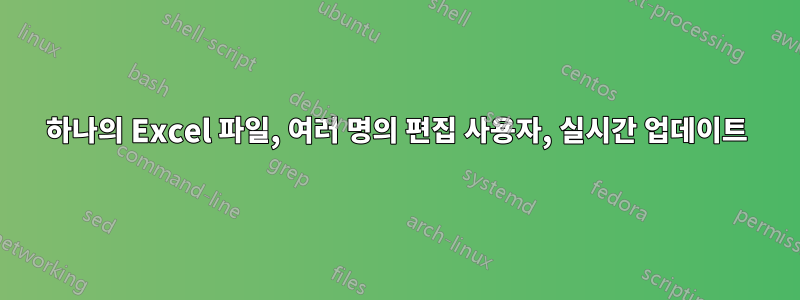 하나의 Excel 파일, 여러 명의 편집 사용자, 실시간 업데이트