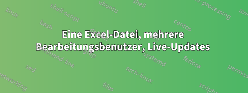 Eine Excel-Datei, mehrere Bearbeitungsbenutzer, Live-Updates