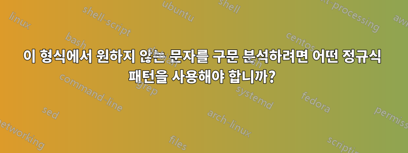 이 형식에서 원하지 않는 문자를 구문 분석하려면 어떤 정규식 패턴을 사용해야 합니까?