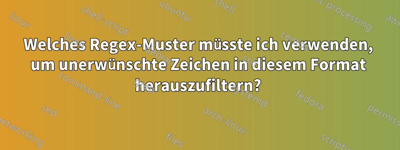 Welches Regex-Muster müsste ich verwenden, um unerwünschte Zeichen in diesem Format herauszufiltern?