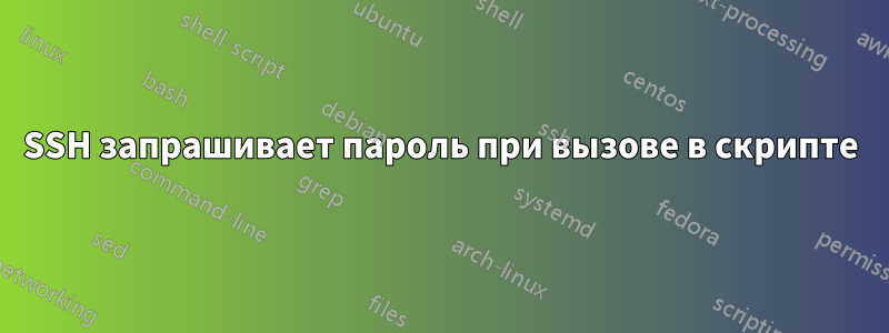 SSH запрашивает пароль при вызове в скрипте