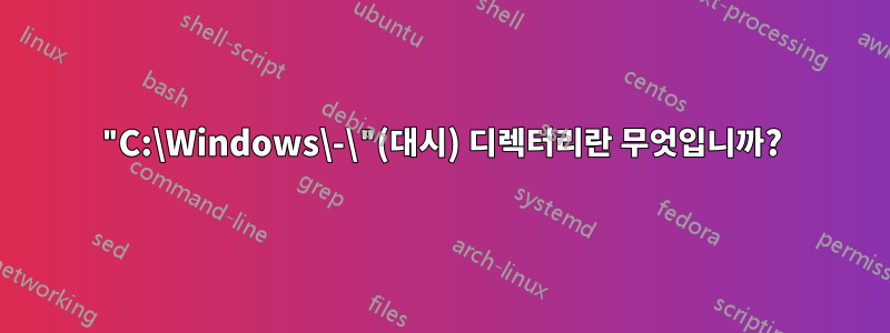 "C:\Windows\-\"(대시) 디렉터리란 무엇입니까?