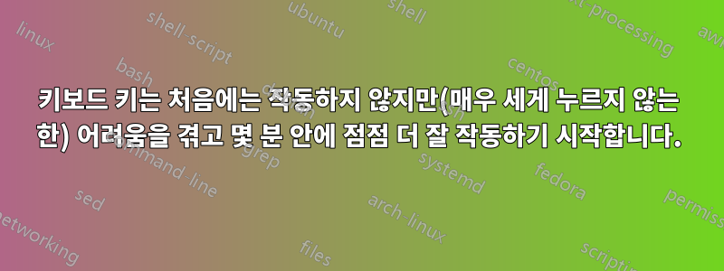 키보드 키는 처음에는 작동하지 않지만(매우 세게 누르지 않는 한) 어려움을 겪고 몇 분 안에 점점 더 잘 작동하기 시작합니다.
