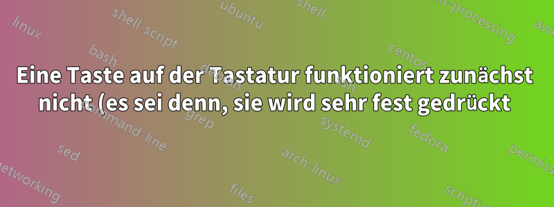 Eine Taste auf der Tastatur funktioniert zunächst nicht (es sei denn, sie wird sehr fest gedrückt), aber nach einigen Minuten des Kampfes funktioniert sie immer besser.