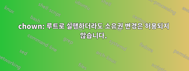 chown: 루트로 실행하더라도 소유권 변경은 허용되지 않습니다.
