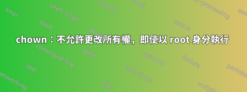 chown：不允許更改所有權，即使以 root 身分執行