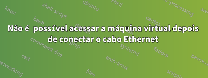 Não é possível acessar a máquina virtual depois de conectar o cabo Ethernet