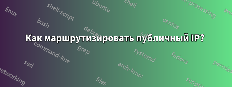 Как маршрутизировать публичный IP?