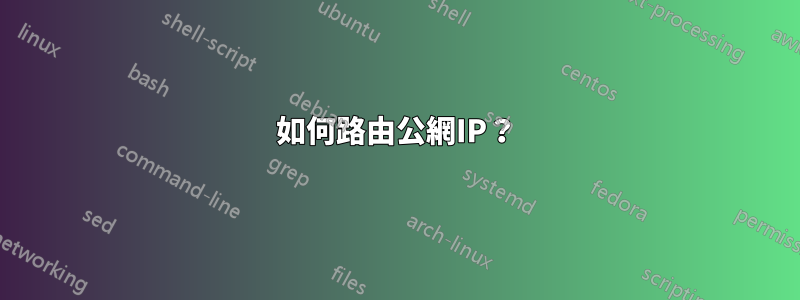 如何路由公網IP？