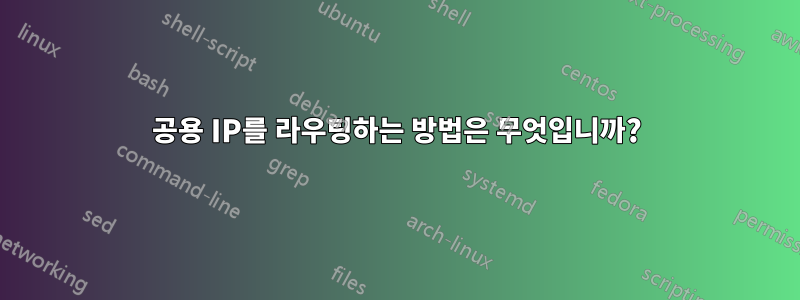 공용 IP를 라우팅하는 방법은 무엇입니까?
