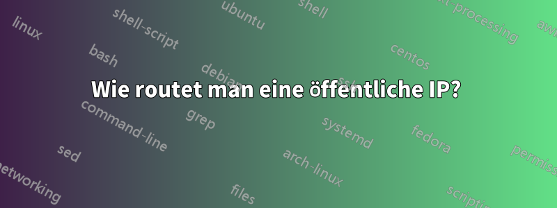 Wie routet man eine öffentliche IP?