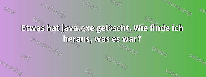 Etwas hat java.exe gelöscht. Wie finde ich heraus, was es war?
