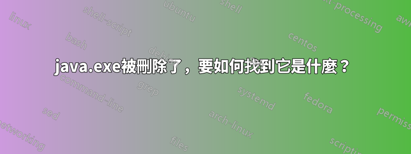 java.exe被刪除了，要如何找到它是什麼？