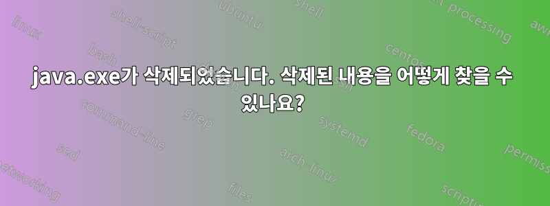 java.exe가 삭제되었습니다. 삭제된 내용을 어떻게 찾을 수 있나요?