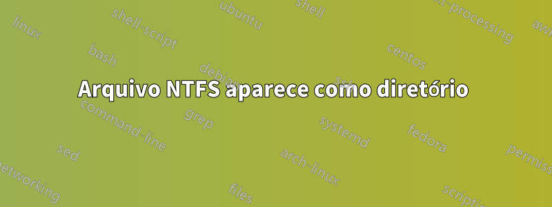 Arquivo NTFS aparece como diretório