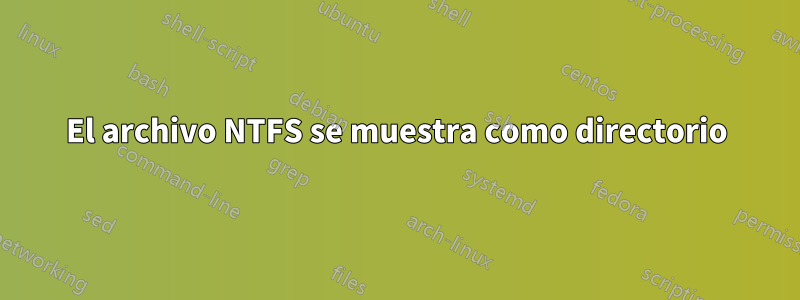 El archivo NTFS se muestra como directorio