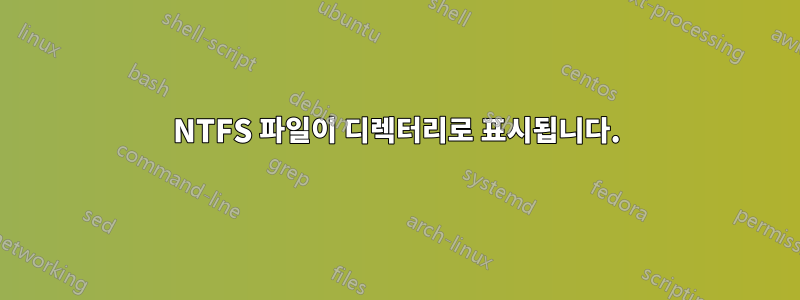 NTFS 파일이 디렉터리로 표시됩니다.