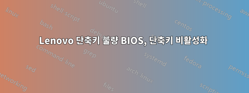 Lenovo 단축키 불량 BIOS, 단축키 비활성화