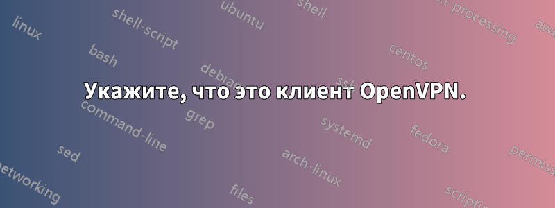 Укажите, что это клиент OpenVPN.