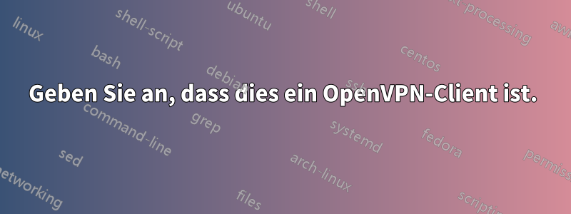 Geben Sie an, dass dies ein OpenVPN-Client ist.