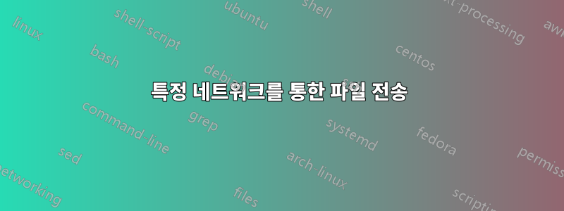 특정 네트워크를 통한 파일 전송