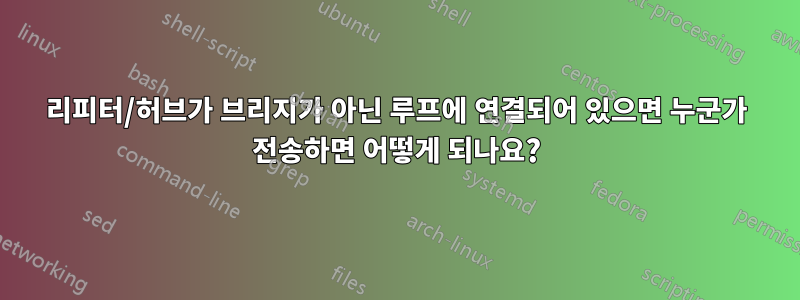 리피터/허브가 브리지가 아닌 루프에 연결되어 있으면 누군가 전송하면 어떻게 되나요?