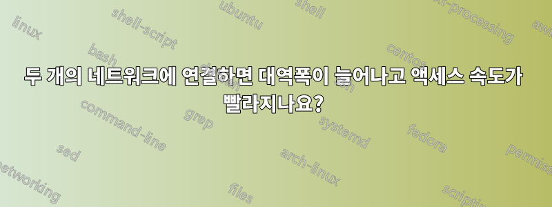 두 개의 네트워크에 연결하면 대역폭이 늘어나고 액세스 속도가 빨라지나요?