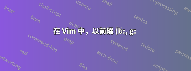 在 Vim 中,以前綴 (b:, g:) 開頭的設定/指令是什麼?