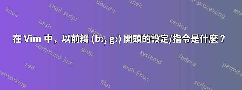 在 Vim 中，以前綴 (b:, g:) 開頭的設定/指令是什麼？