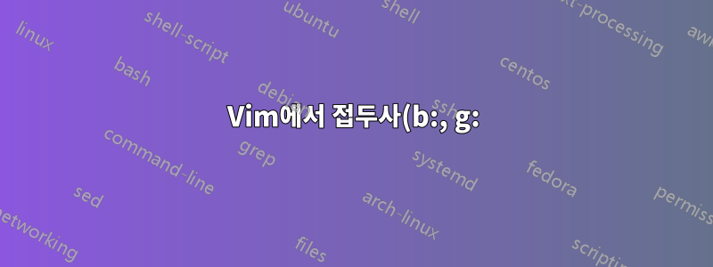 Vim에서 접두사(b:, g:)로 시작하는 설정/명령은 무엇입니까?