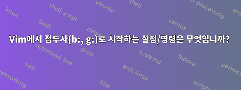 Vim에서 접두사(b:, g:)로 시작하는 설정/명령은 무엇입니까?