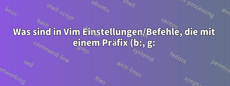 Was sind in Vim Einstellungen/Befehle, die mit einem Präfix (b:, g:) beginnen?