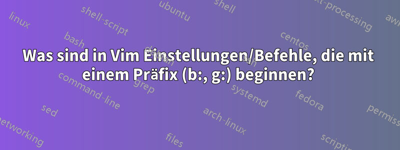 Was sind in Vim Einstellungen/Befehle, die mit einem Präfix (b:, g:) beginnen?