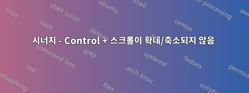 시너지 - Control + 스크롤이 확대/축소되지 않음