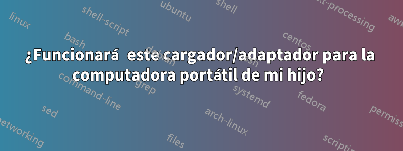 ¿Funcionará este cargador/adaptador para la computadora portátil de mi hijo? 