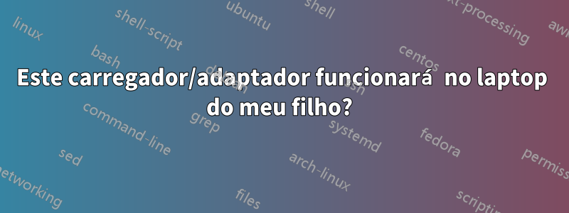 Este carregador/adaptador funcionará no laptop do meu filho? 