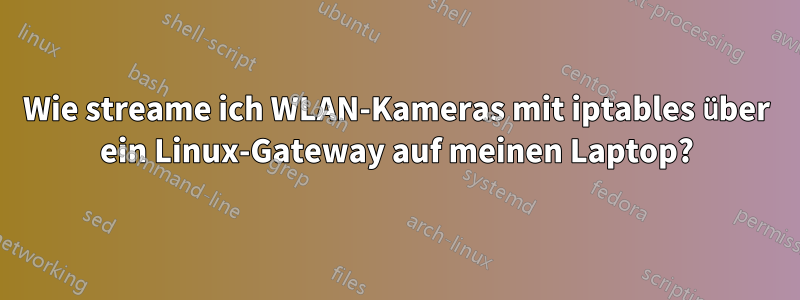 Wie streame ich WLAN-Kameras mit iptables über ein Linux-Gateway auf meinen Laptop?