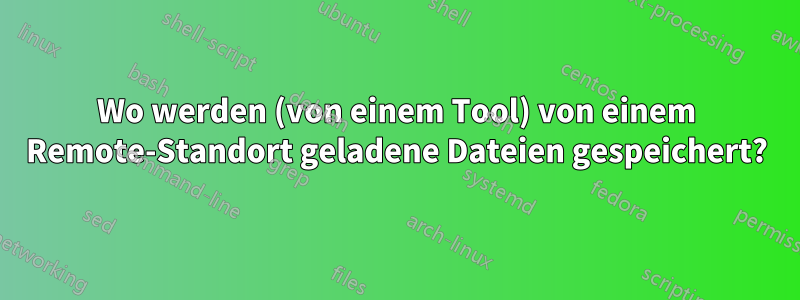 Wo werden (von einem Tool) von einem Remote-Standort geladene Dateien gespeichert?