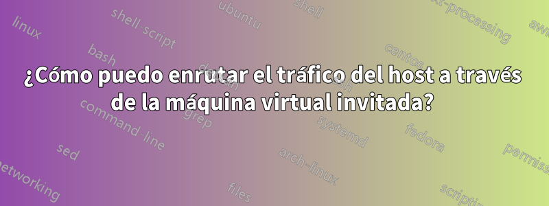 ¿Cómo puedo enrutar el tráfico del host a través de la máquina virtual invitada?