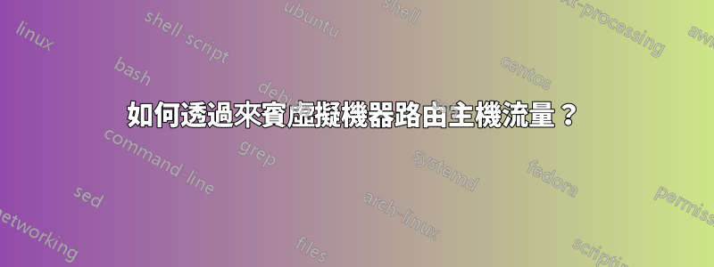 如何透過來賓虛擬機器路由主機流量？