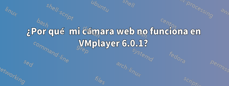 ¿Por qué mi cámara web no funciona en VMplayer 6.0.1?