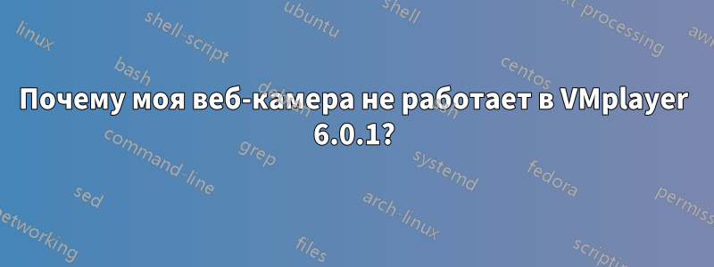 Почему моя веб-камера не работает в VMplayer 6.0.1?