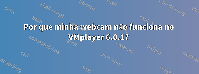 Por que minha webcam não funciona no VMplayer 6.0.1?