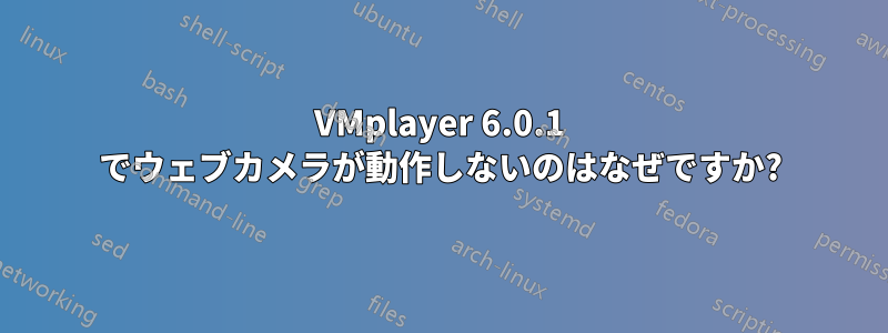 VMplayer 6.0.1 でウェブカメラが動作しないのはなぜですか?