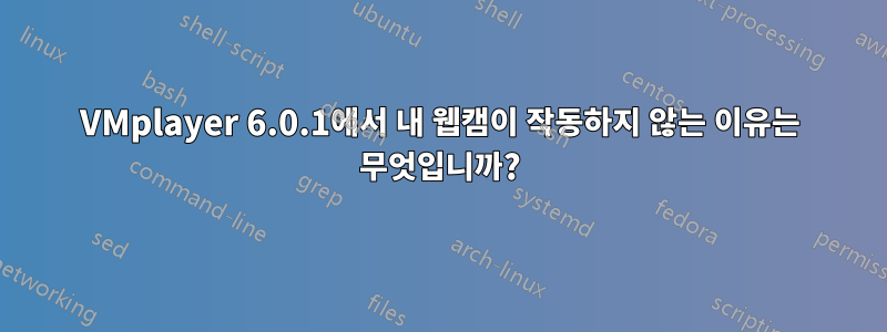 VMplayer 6.0.1에서 내 웹캠이 작동하지 않는 이유는 무엇입니까?