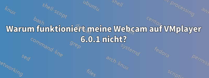 Warum funktioniert meine Webcam auf VMplayer 6.0.1 nicht?