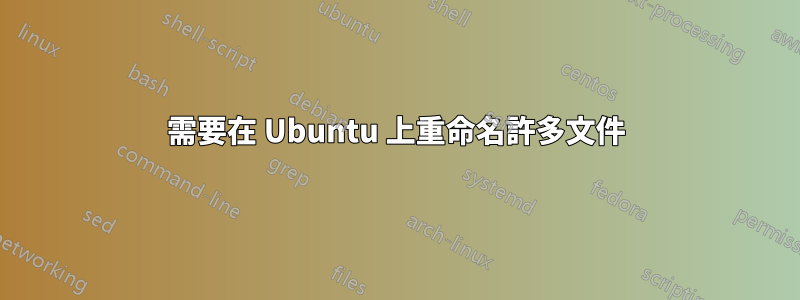 需要在 Ubuntu 上重命名許多文件