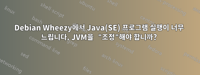 Debian Wheezy에서 Java(SE) 프로그램 실행이 너무 느립니다. JVM을 "조정"해야 합니까?